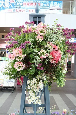 s-IMG_5619.jpg