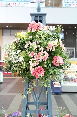 s-IMG_5620.jpg