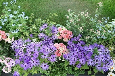 s-IMG_5665.jpg