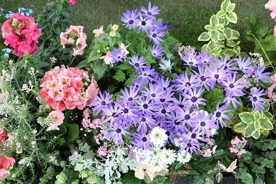 s-IMG_5673.jpg