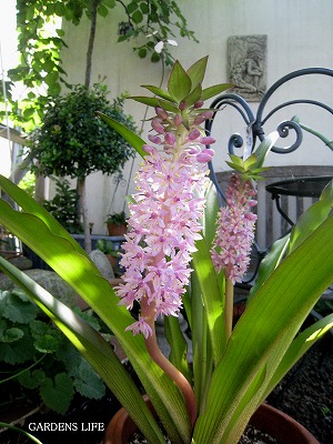 s-IMG_5684.jpg