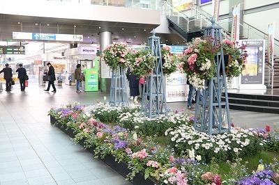 s-IMG_5685.jpg