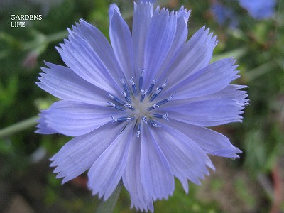 s-IMG_5733.jpg