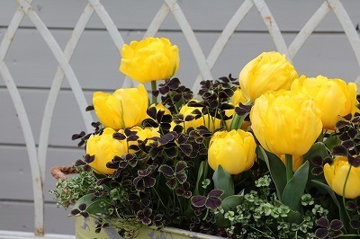 s-IMG_5769.jpg