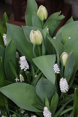 s-IMG_5781.jpg