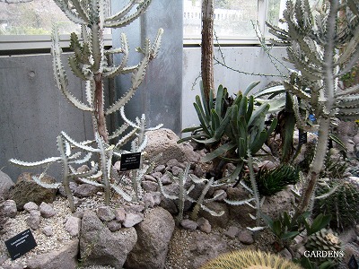 s-IMG_5808.jpg