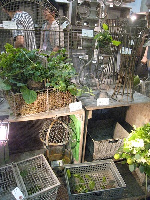 s-IMG_6001.jpg