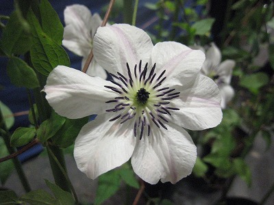 s-IMG_6008.jpg