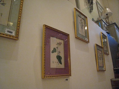 s-IMG_6053.jpg