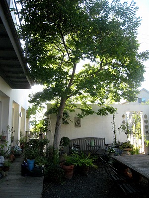 s-IMG_6152.jpg