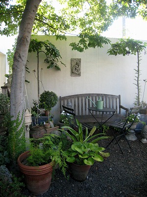 s-IMG_6155.jpg