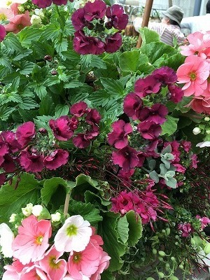 s-IMG_6168.jpg