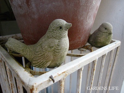s-IMG_6242.jpg