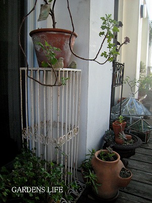 s-IMG_6245.jpg