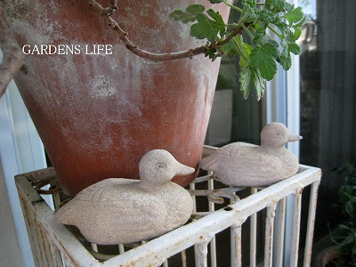 s-IMG_6252.jpg