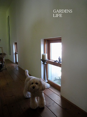 s-IMG_6342.jpg