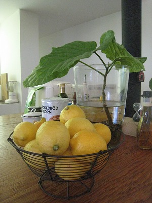 s-IMG_6397.jpg