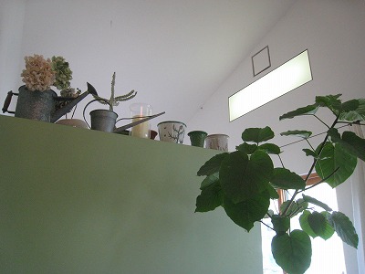 s-IMG_6453.jpg