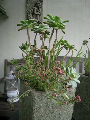 s-IMG_6585.jpg