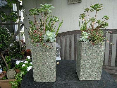 s-IMG_6590.jpg