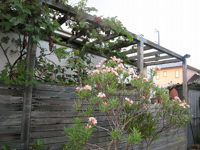 s-IMG_6689.jpg