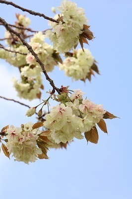 s-IMG_6701.jpg