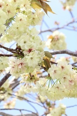 s-IMG_6715.jpg