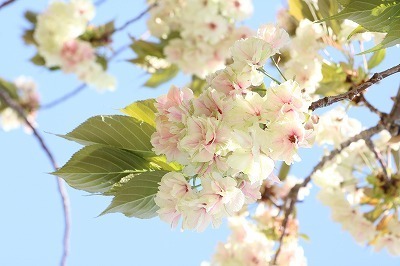 s-IMG_6992.jpg