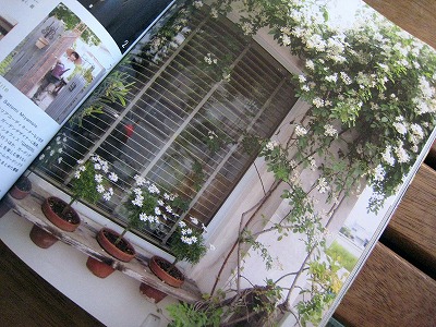 s-IMG_7236.jpg