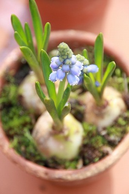 s-IMG_7416.jpg