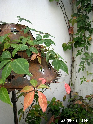 s-IMG_7421.jpg
