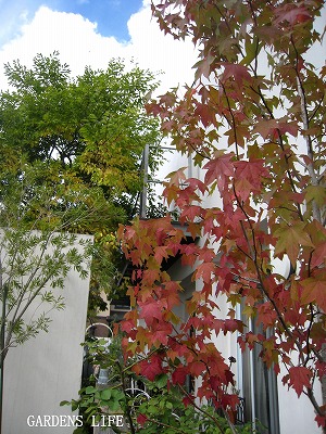 s-IMG_7428.jpg