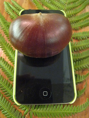 s-IMG_7463.jpg