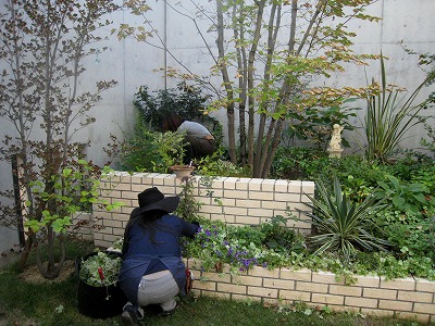 s-IMG_7613.jpg
