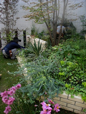s-IMG_7616.jpg