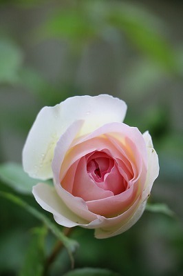 s-IMG_7697.jpg