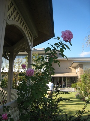 s-IMG_7717.jpg