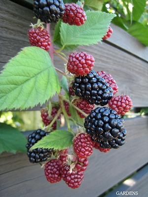 s-IMG_7818.jpg