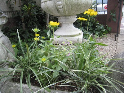 s-IMG_7990.jpg