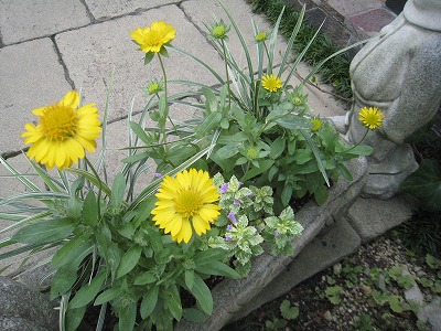 s-IMG_7993.jpg