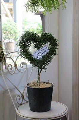 s-IMG_8152.jpg
