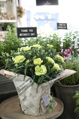 s-IMG_8172.jpg