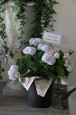 s-IMG_8182.jpg