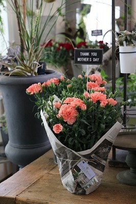 s-IMG_8200.jpg