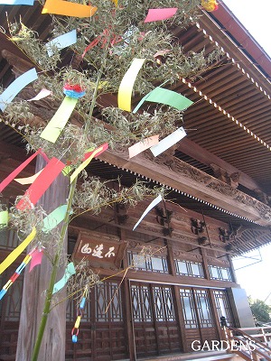 s-IMG_8214.jpg