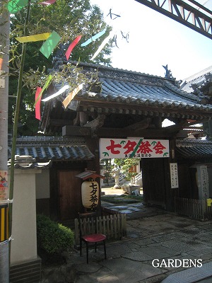 s-IMG_8219.jpg