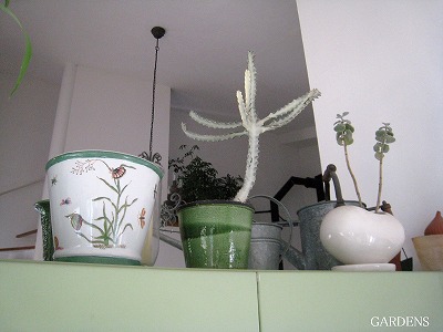 s-IMG_8242.jpg