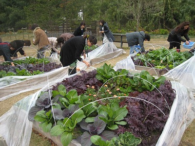 s-IMG_8338.jpg