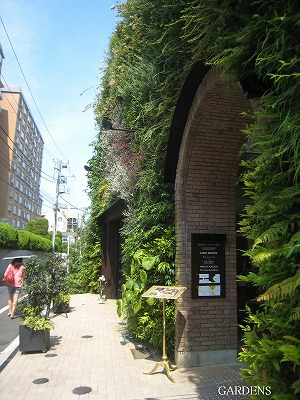 s-IMG_8369.jpg