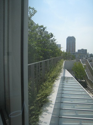 s-IMG_8383.jpg